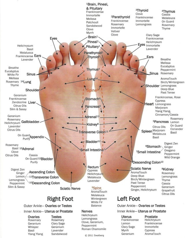massaggio terapeutico punti dei piedi