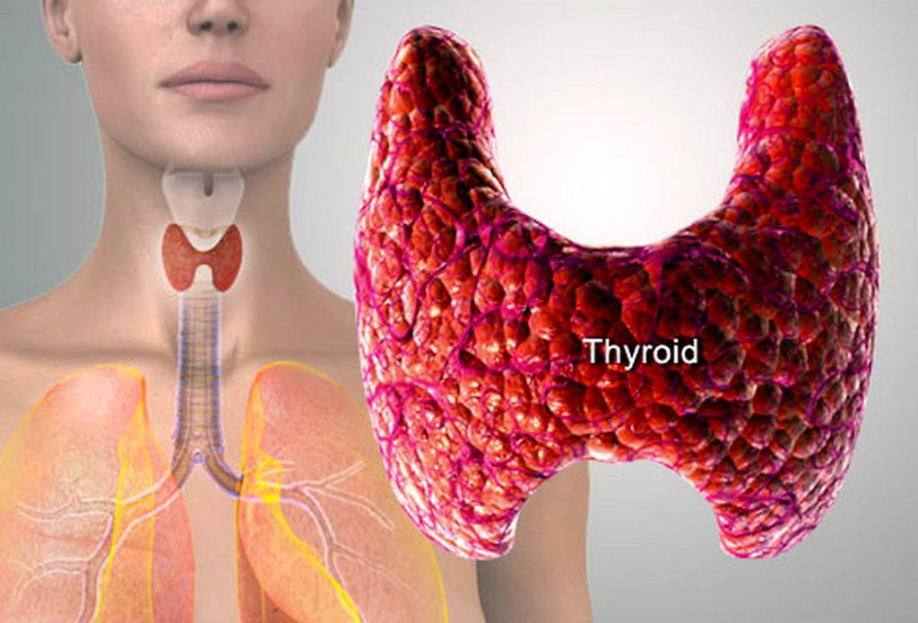 tiroide e vampate di calore donna in menopausa